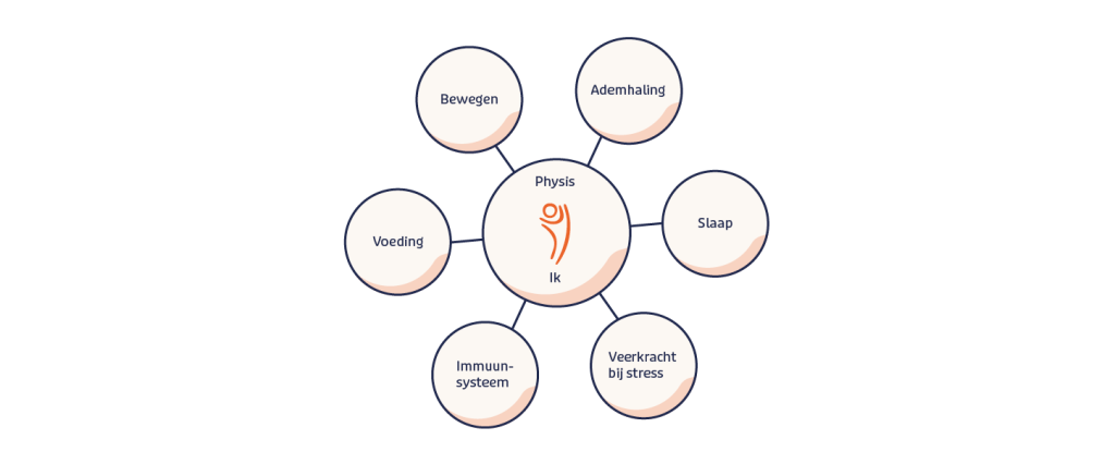 Headerafbeelding Physis gezondheid energie – Physis: wat is nodig voor gezondheid, energie en optimaal herstel van klachten?