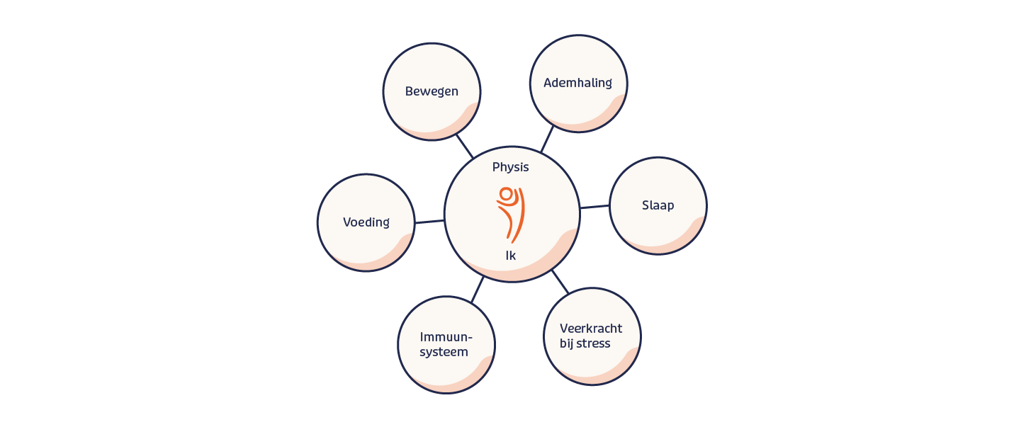 Headerafbeelding Physis gezondheid energie – Physis: wat is nodig voor gezondheid, energie en optimaal herstel van klachten?